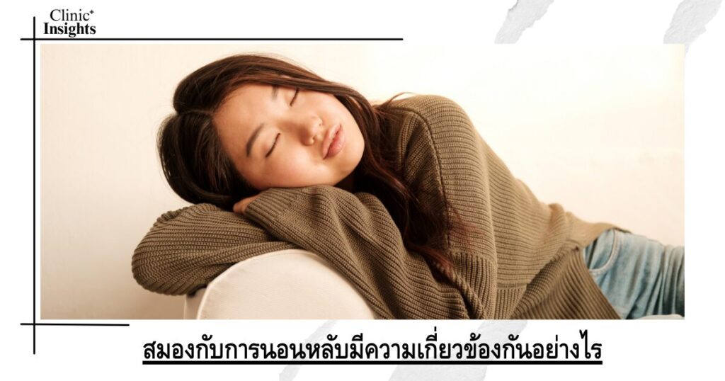 สมองกับการนอนหลับมีความเกี่ยวข้องกันอย่างไร