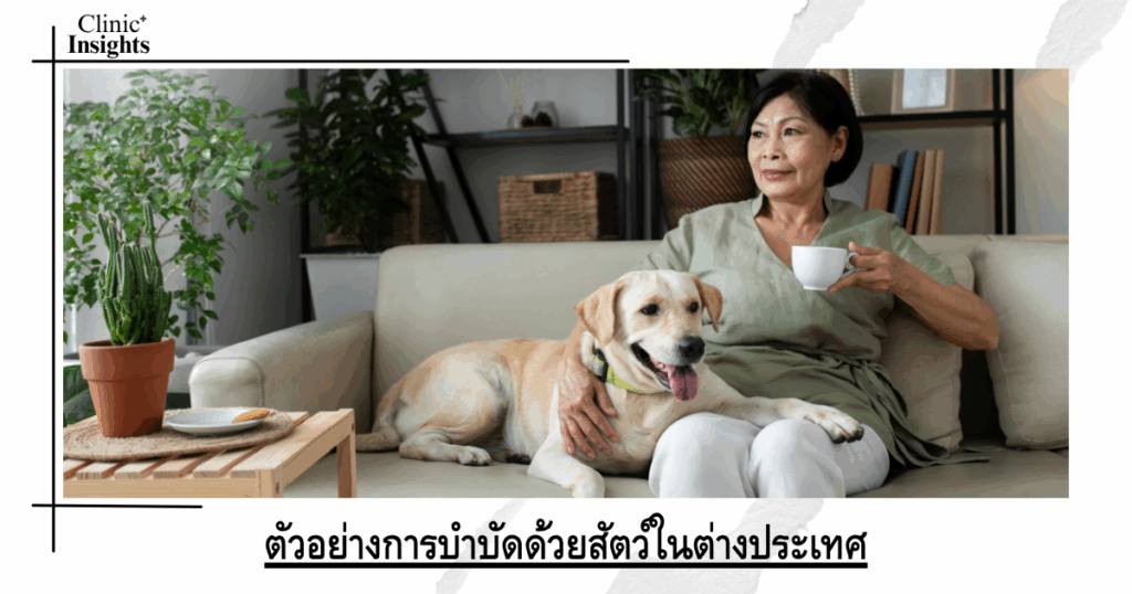 Examples of animal therapy abroad