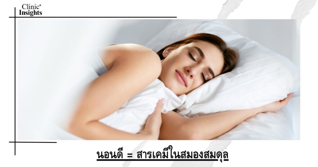 นอนดี = สารเคมีในสมองสมดุล