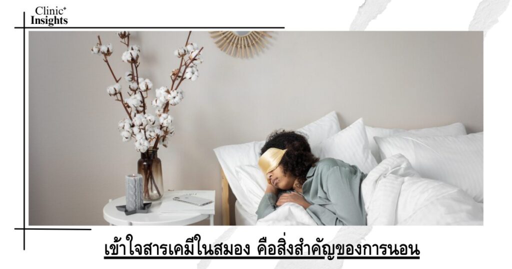 การเข้าใจกลไกของสารเคมีในสมอง คือสิ่งสำคัญของการนอนอย่างมีคุณภาพ