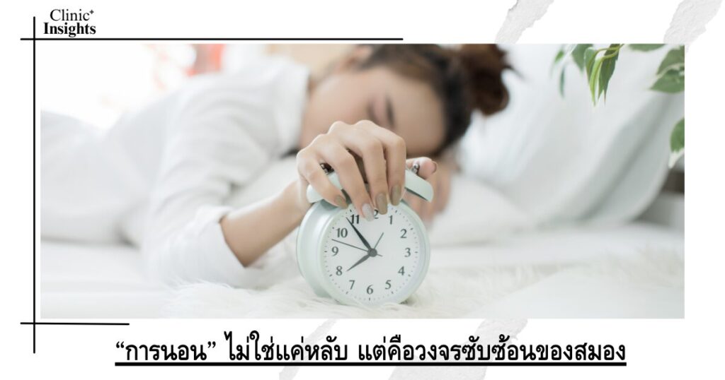 “การนอน” ไม่ใช่แค่หลับ แต่คือวงจรซับซ้อนของสมอง