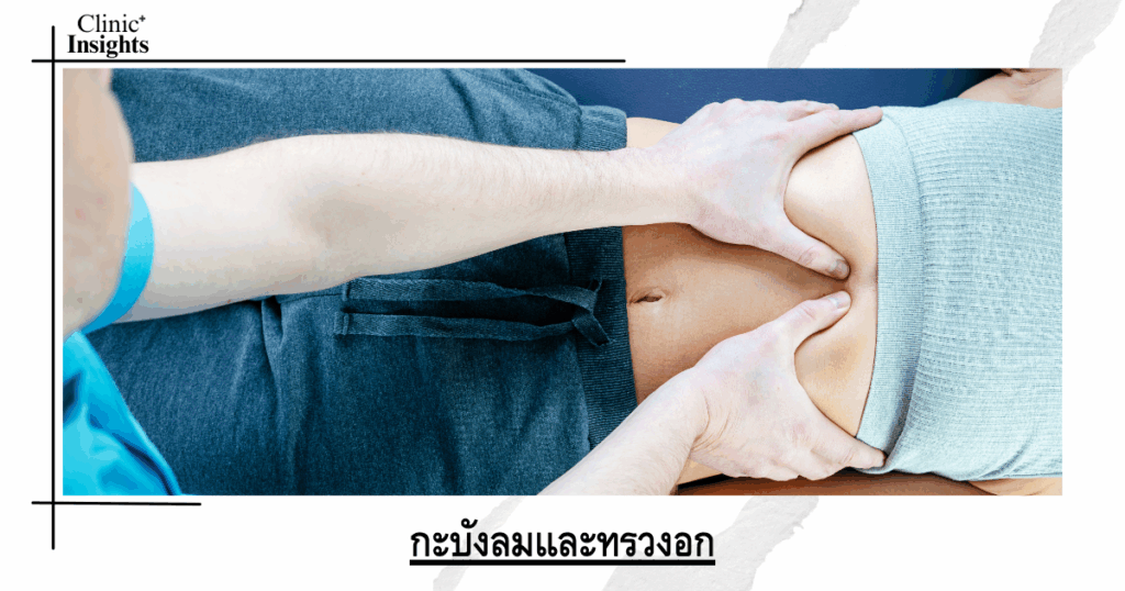 Diaphragm and thorax