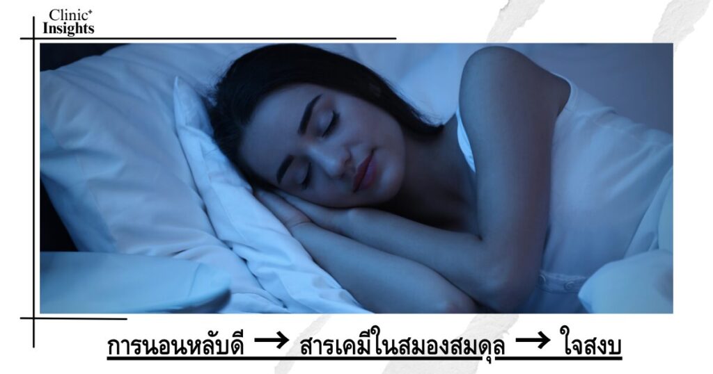 การนอนหลับดี → สารเคมีในสมองสมดุล → ใจสงบ