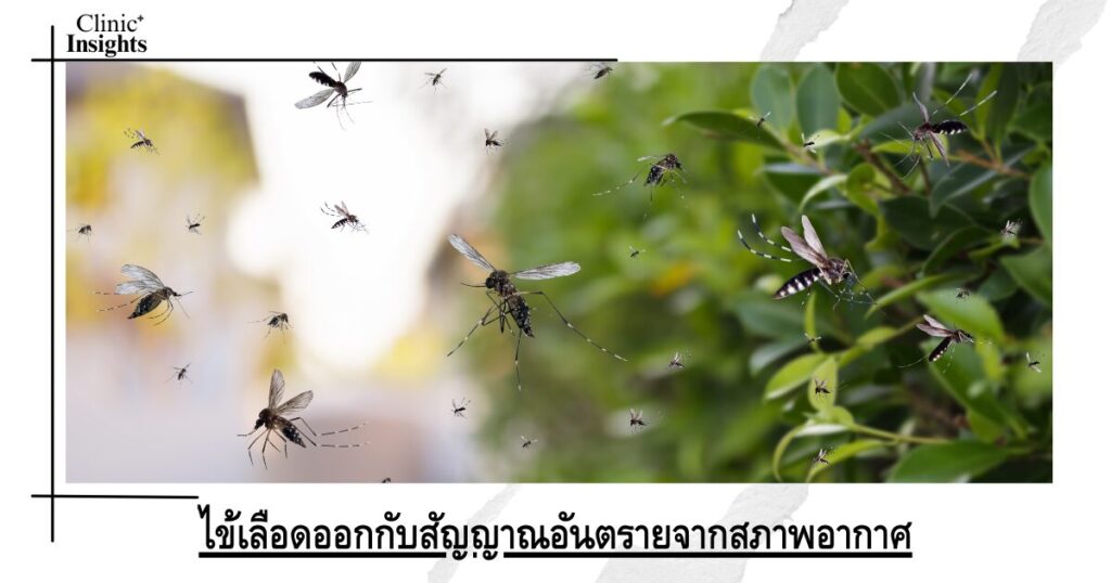 Dengue fever and danger signals from weather conditions