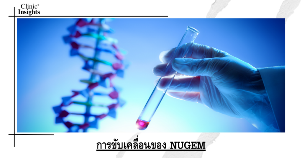 การขับเคลื่อนของ NUGEM