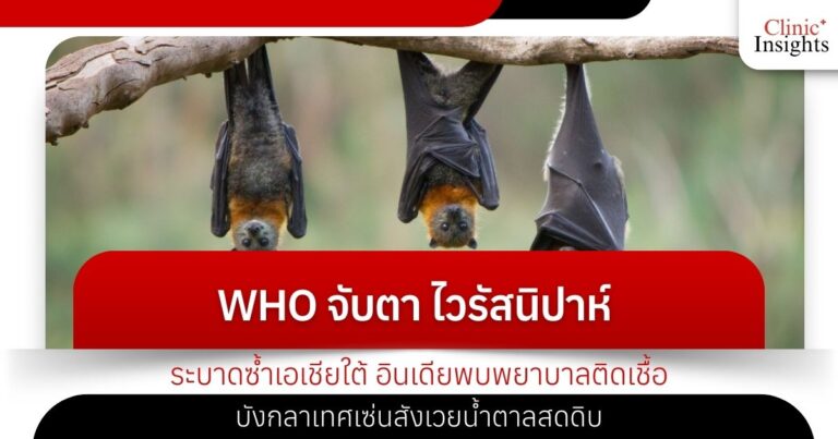 WHO จับตา ไวรัสนิปาห์ ระบาดซ้ำเอเชียใต้ อินเดียพบพยาบาลติดเชื้อ-บังกลาเทศเซ่นสังเวยน้�