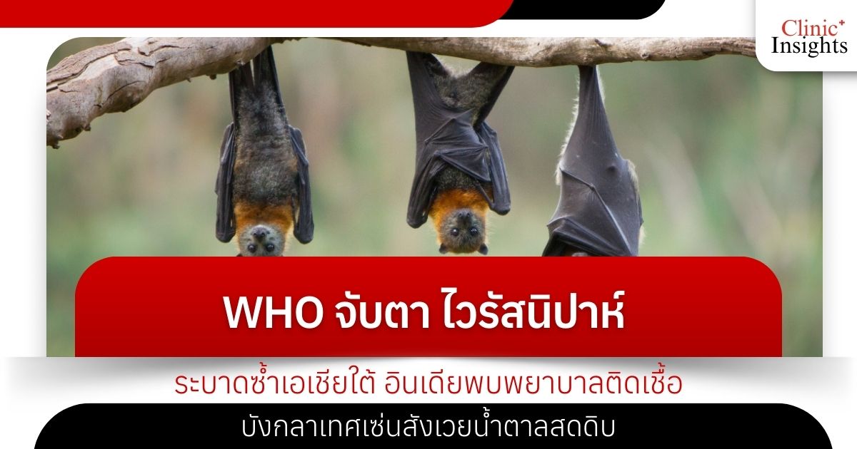 WHO จับตา ไวรัสนิปาห์ ระบาดซ้ำเอเชียใต้ อินเดียพบพยาบาลติดเชื้อ-บังกลาเทศเซ่นสังเวยน้�