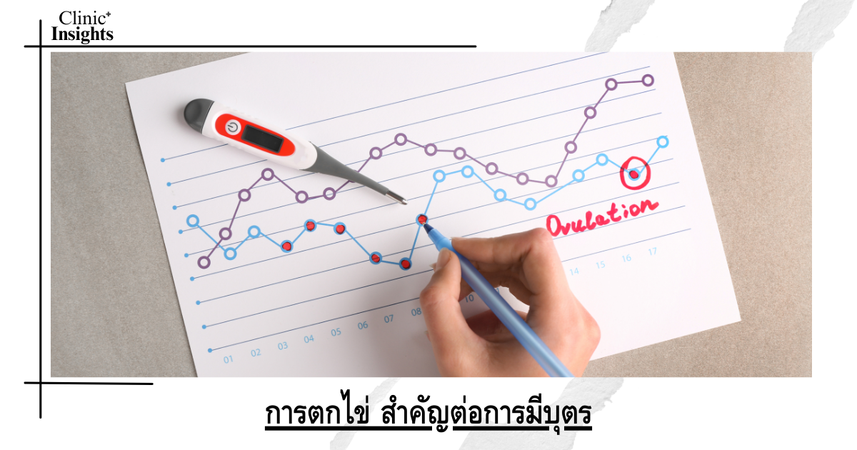 Ovulation is important for fertility.