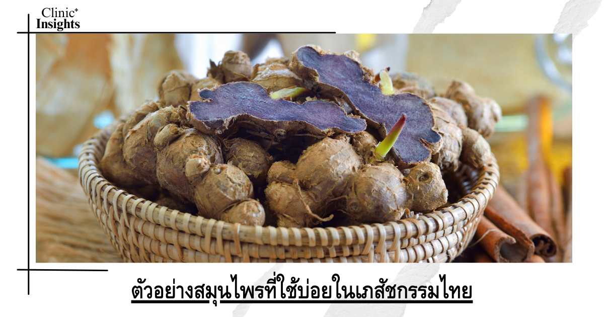 Examples of herbs commonly used in Thai pharmacy