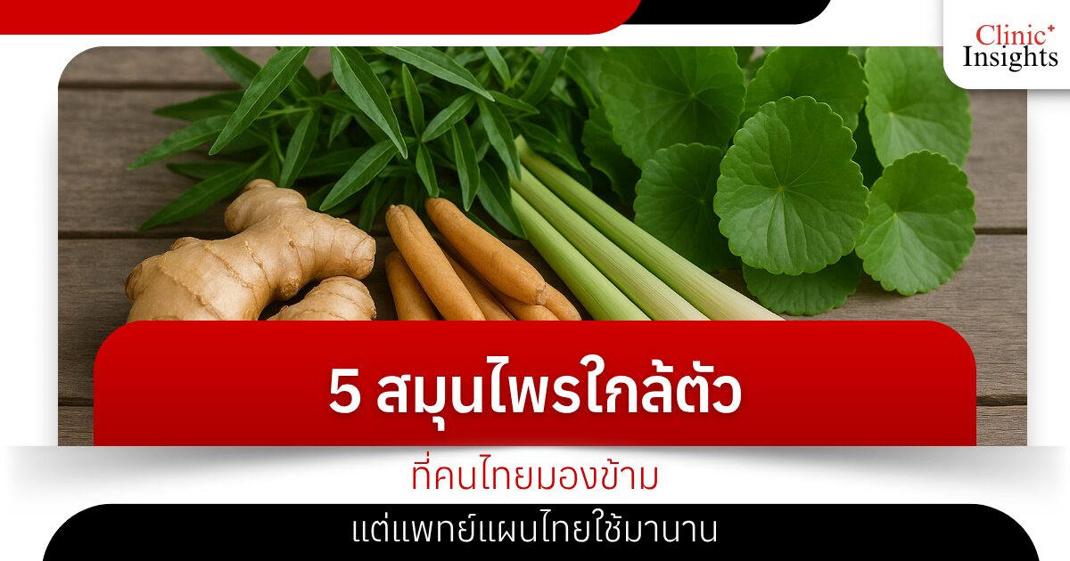 5 สมุนไพรใกล้ตัวที่คนไทยมองข้าม แต่แพทย์แผนไทยใช้มานาน