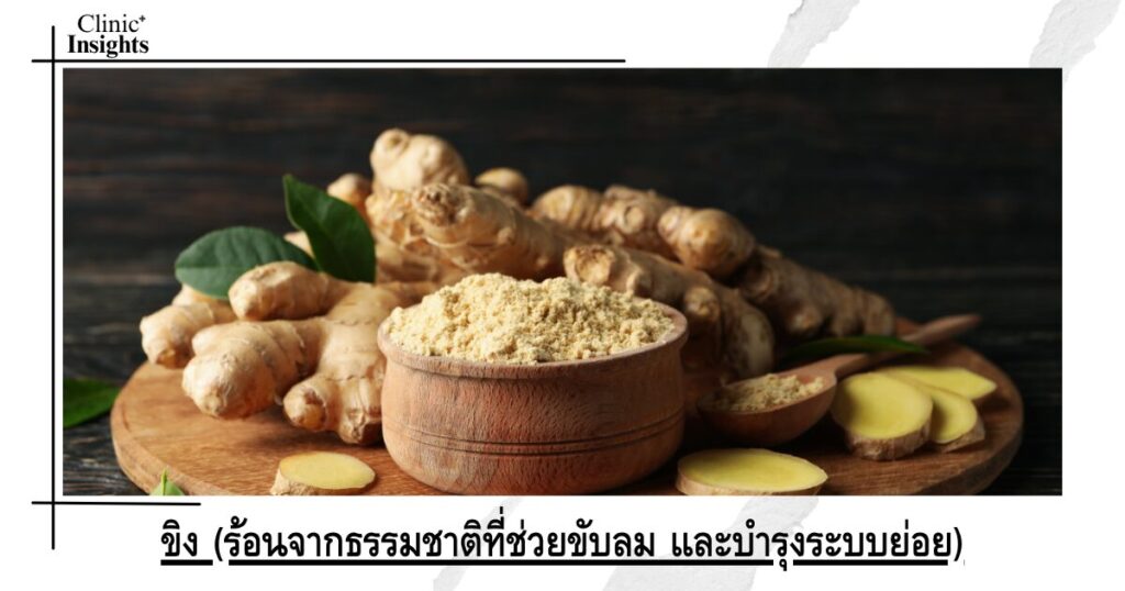 ขิง (ร้อนจากธรรมชาติที่ช่วยขับลม และบำรุงระบบย่อย) ขิง (ร้อนจากธรรมชาติที่ช่วยขับลม และบำรุงระบบย่อย)