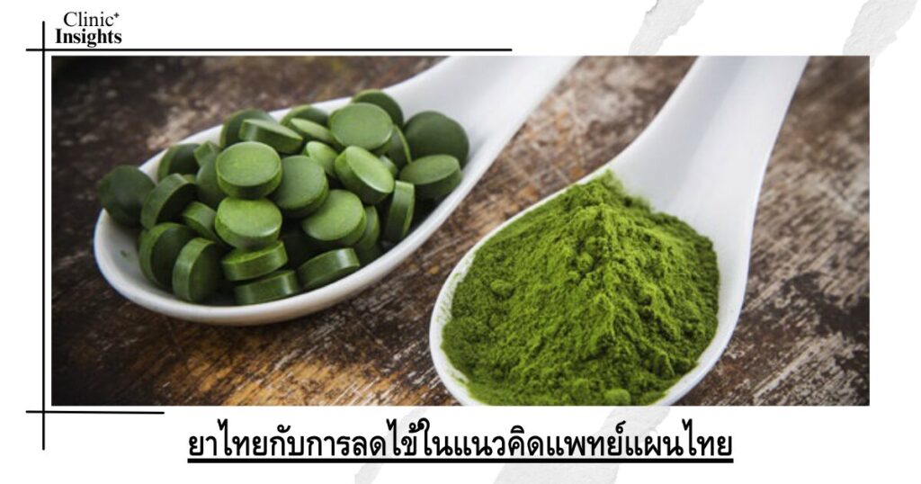 ยาไทยกับการลดไข้ในแนวคิดแพทย์แผนไทย ยาไทยกับการลดไข้ในแนวคิดแพทย์แผนไทย