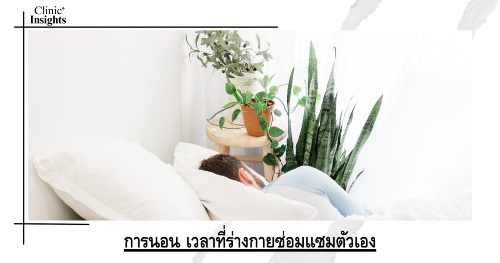 Sleep is when the body repairs itself.