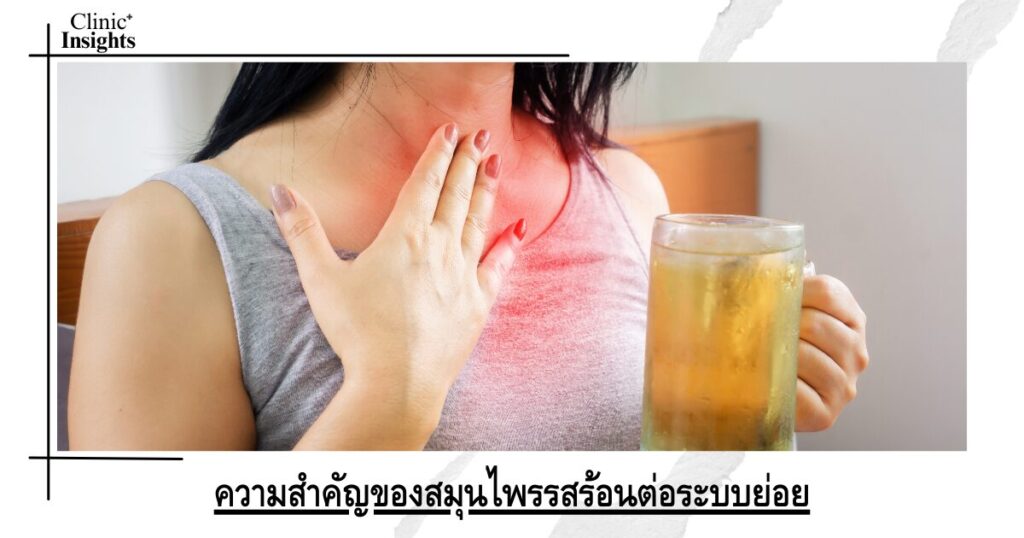 The importance of hot herbs for the digestive system