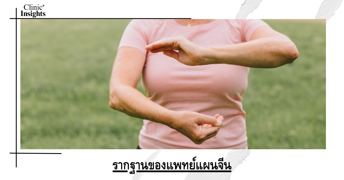 The foundations of Chinese medicine