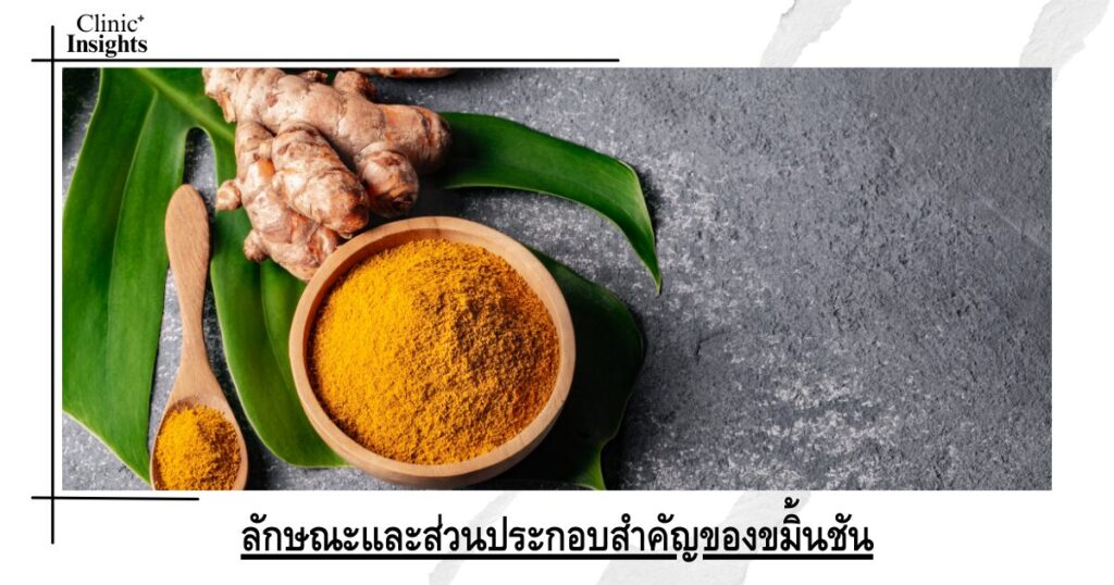 Characteristics and important components of turmeric