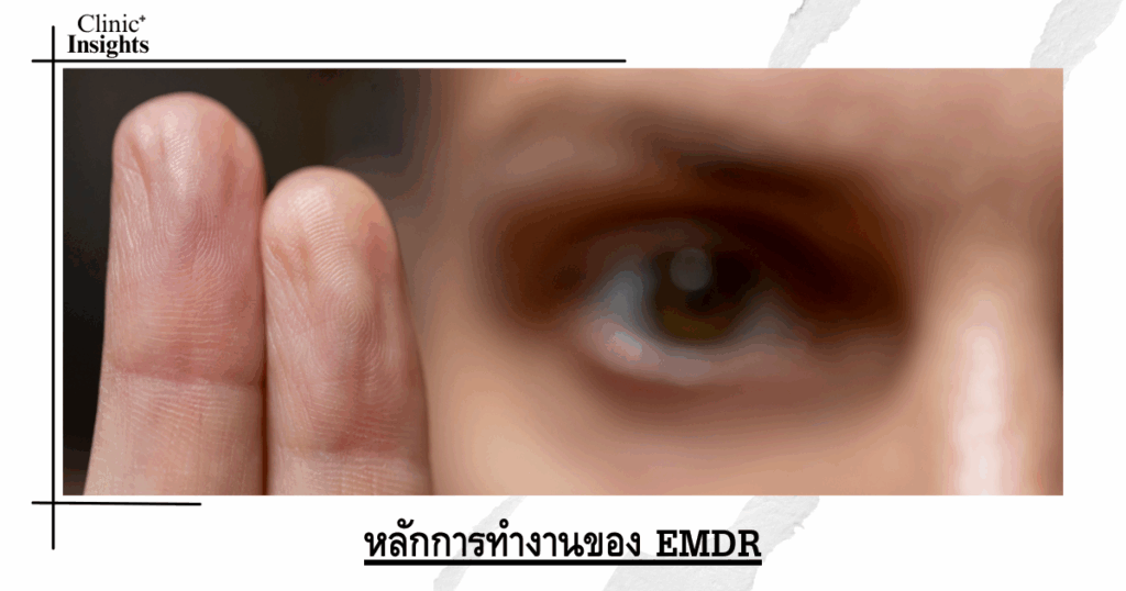 How EMDR works