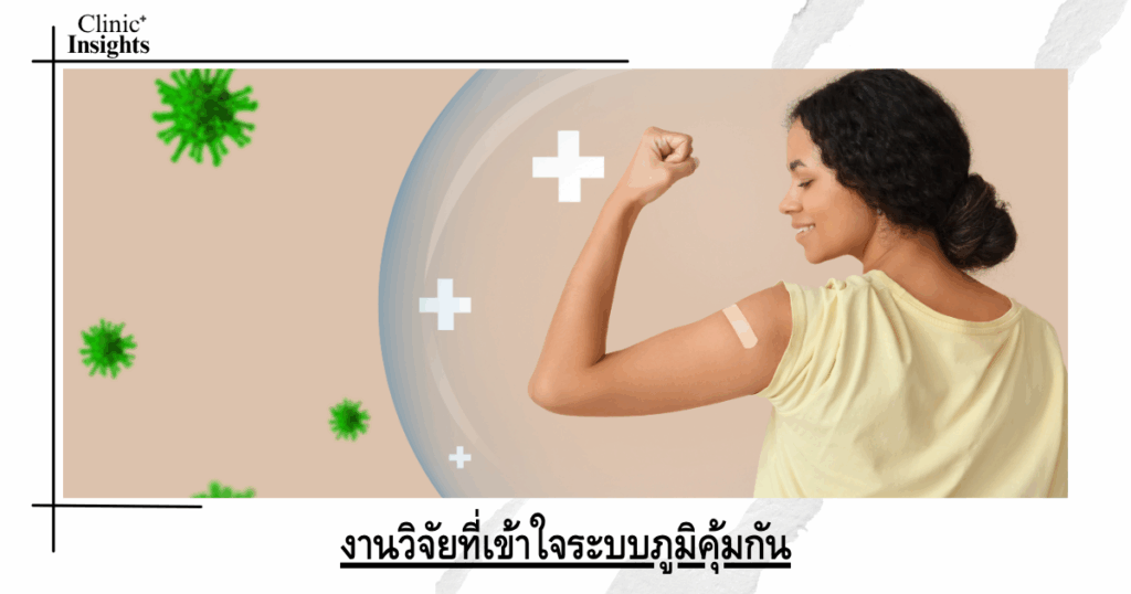 Research that understands the immune system