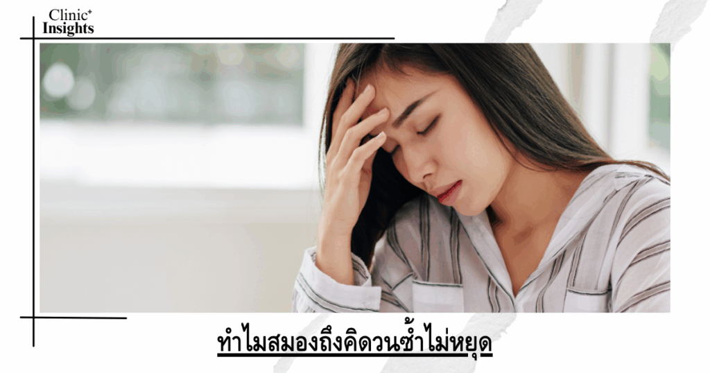 Why does the brain keep repeating itself?